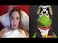 Kermit looks for booty on Omegle