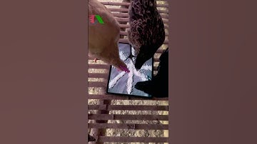 Vật tư nông nghiệp công nghệ cao Tháp Xanh