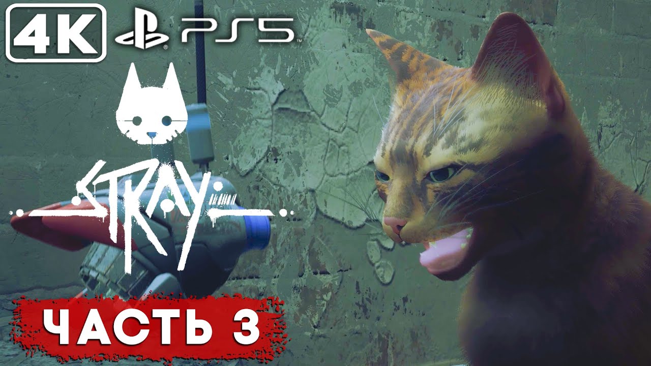 STRAY - Часть#3 ► PS5 Прохождение без комментариев ► REDIS PLAY