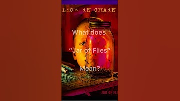 Old video from the archive here. Jar of flies - 1994 #aliceinchains #music