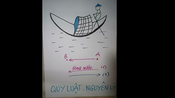 4 nguyên lý  công thức cội nguồn cuộc sống  cấu trúc con người  vật chất không gian-thời gian