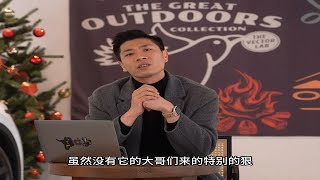 比亚迪海鸥荣耀版，好用的配置都在标配里