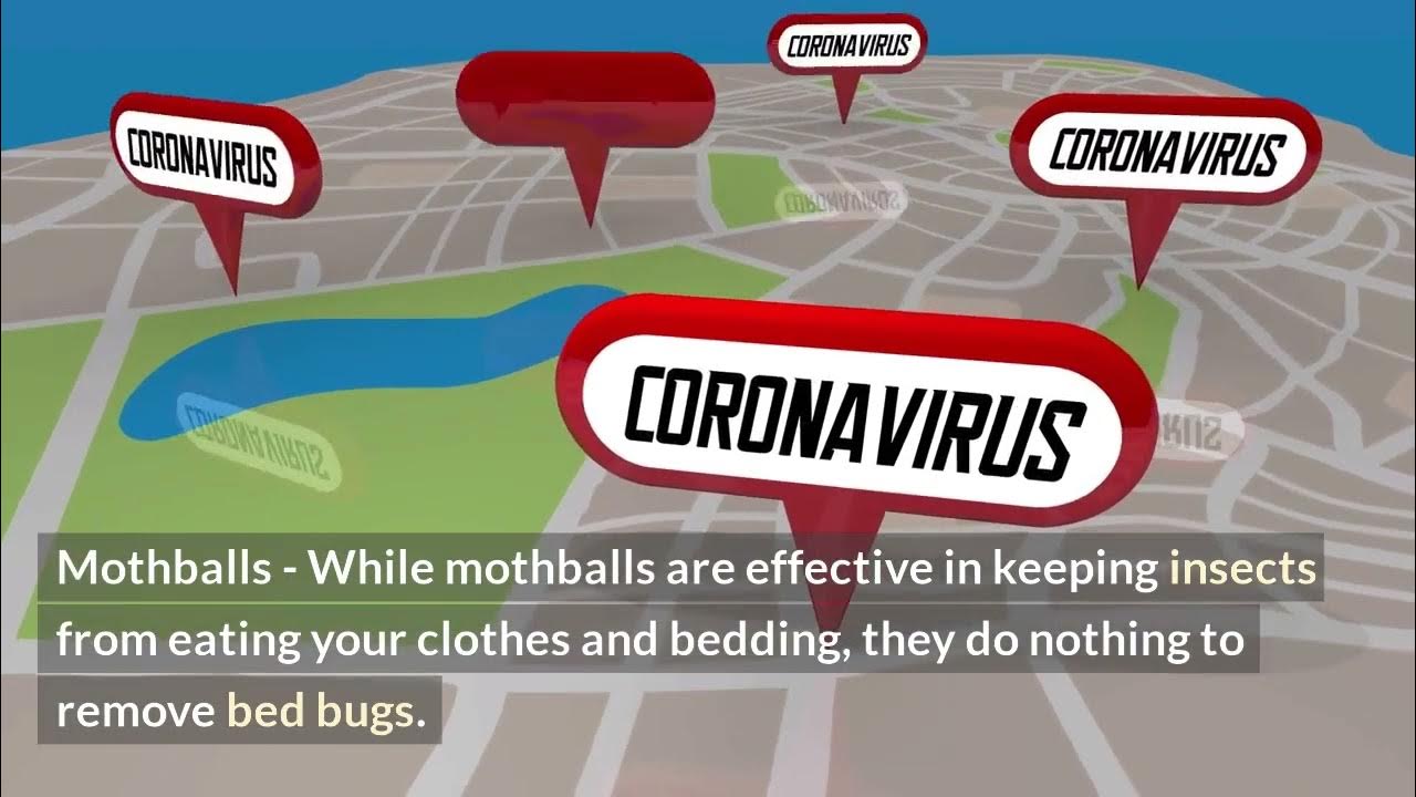 what-kills-bed-bugs-instantly-home-remedies-home-remedies-for-bed