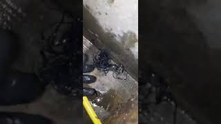 Pompe de relevage H.S | reparations et nettoyage de moteur | fontanero plombier plumber