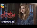 Bhool Jaa Ay Dil Episode 28 HUM TV Drama 23 December 2020