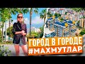 ПОЧЕМУ МАХМУТЛАР?