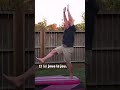 Un duo père-fille affole Internet avec des défis de gymnastique hilarants 😂 #shorts