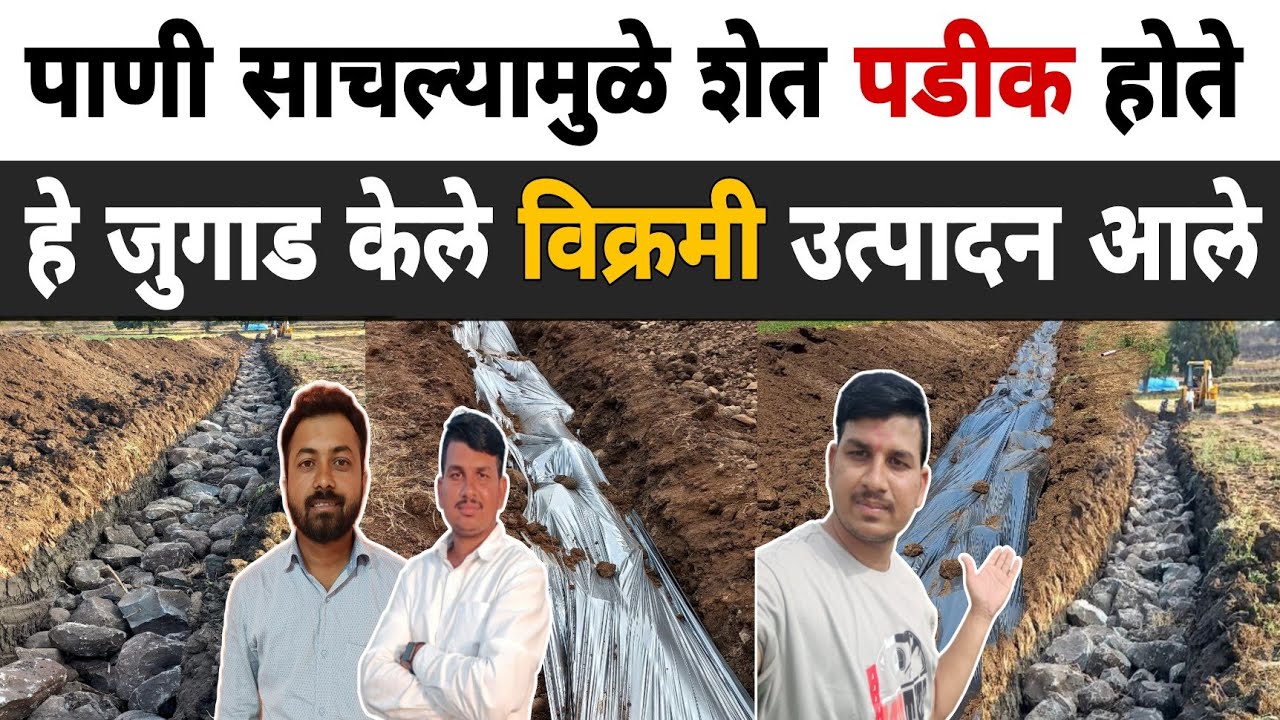 ही तळमळ पाणी साचणाऱ्या शेतात उत्पादन घेण्यासाठी | 100% रिझल्ट |Dnyaneshwar Kharat | Chetan Bhanushe