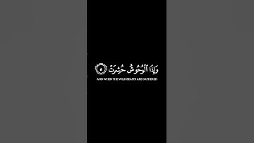 تلاوة خاشعة للشيخ عبدالباسط عبدالصمد من سورة التكوير | إذا الشمس كورت | تلاوة تهز القلوب