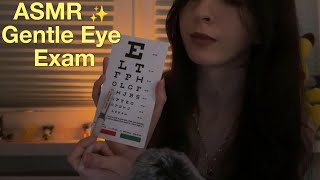 Asmr Lets Check Your Vision