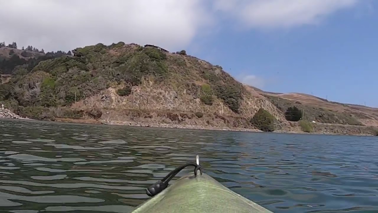 Russian River Basin, Music and Pelicans on Penny Island