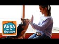 Schulhund | Information für Kinder | Anna und die Haustiere | Spezial