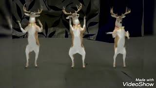 Dancing Reindeer Animation