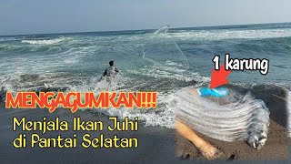 MENGAGUMKAN!!! Menjala Ikan Juhi di Pantai Selatan Hasilnya Memuaskan