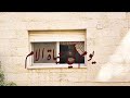 من الشباك يوم عادي بس تفاصيله ما حدا بشوفها