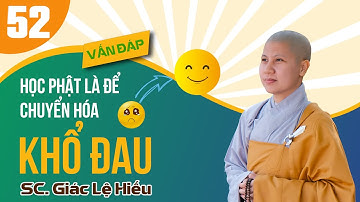 Vấn đáp: Học Phật là để chuyển hóa khổ đau - SC. Giác Lệ Hiếu