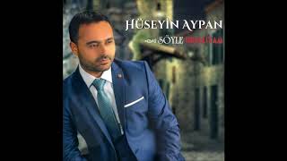 Hüseyin Aypan   -  Yaz