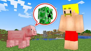 【マイクラ】MOBの中身が入れ替わった世界でサバイバル！