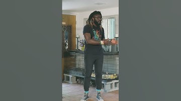 Start Doing This One Thing, To Fix Your Dog’s SEPARATION ANXIETY