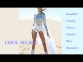 Soulful funky disco house mix january