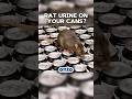 Rat Urine on Soda Cans