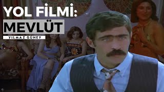 Yol Fi̇lmi̇: Mevlüt (Altın Palmiye Ödüllü Film) Hikmet Çelik, Sevda Aktolga Yılmaz Güney