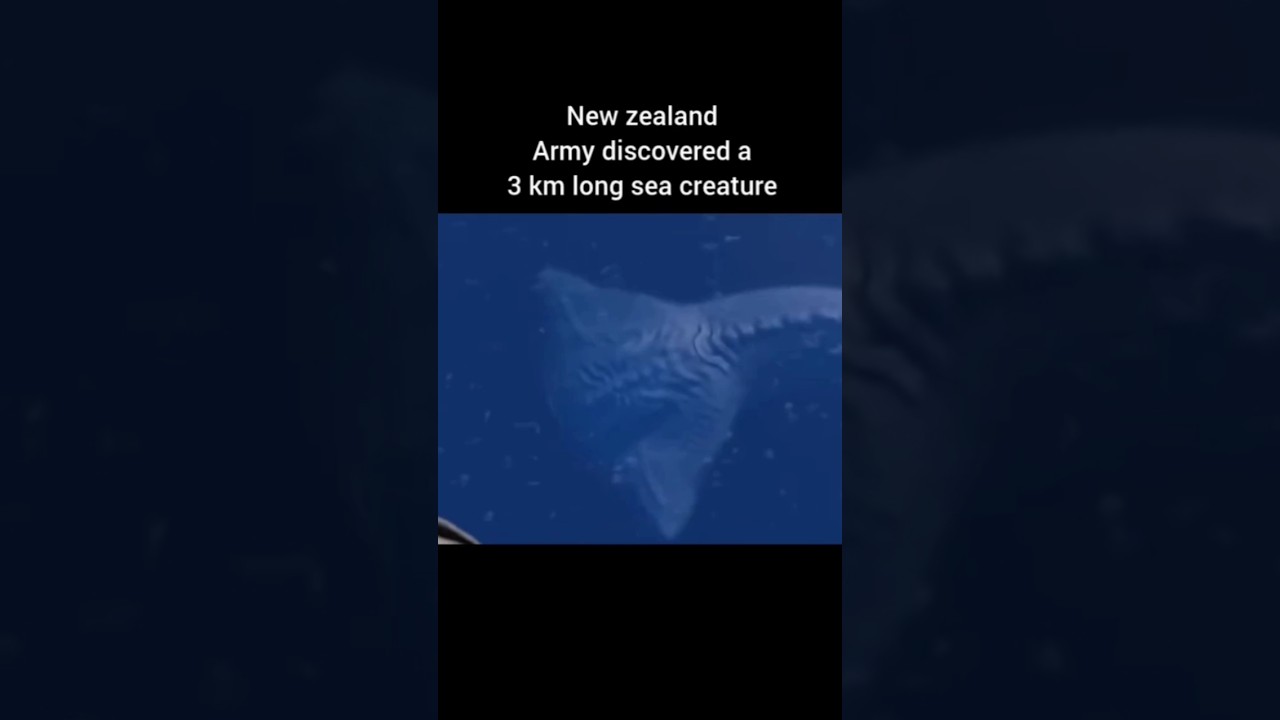 New Zealand Army Discovered a 3 Km Long Sea Creature 👽 | #shorts #deepocean #seacreatures