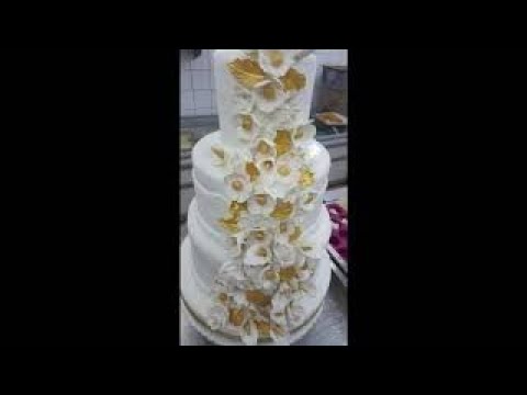 بياس مونتي امريكان رائعة للاعراس