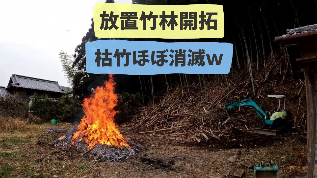 【放置竹林開拓】枯竹ほぼ消滅させたった！　19&20回目