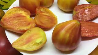 Томат Слон оранжевый Минусинский БИКОЛОР - вкуснейшие томатные 