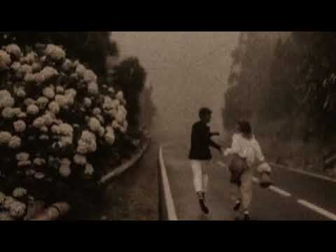 قالوا عليكي أن أنتي بقيتي حد ناسي لنفسو كمان محمد سعيد