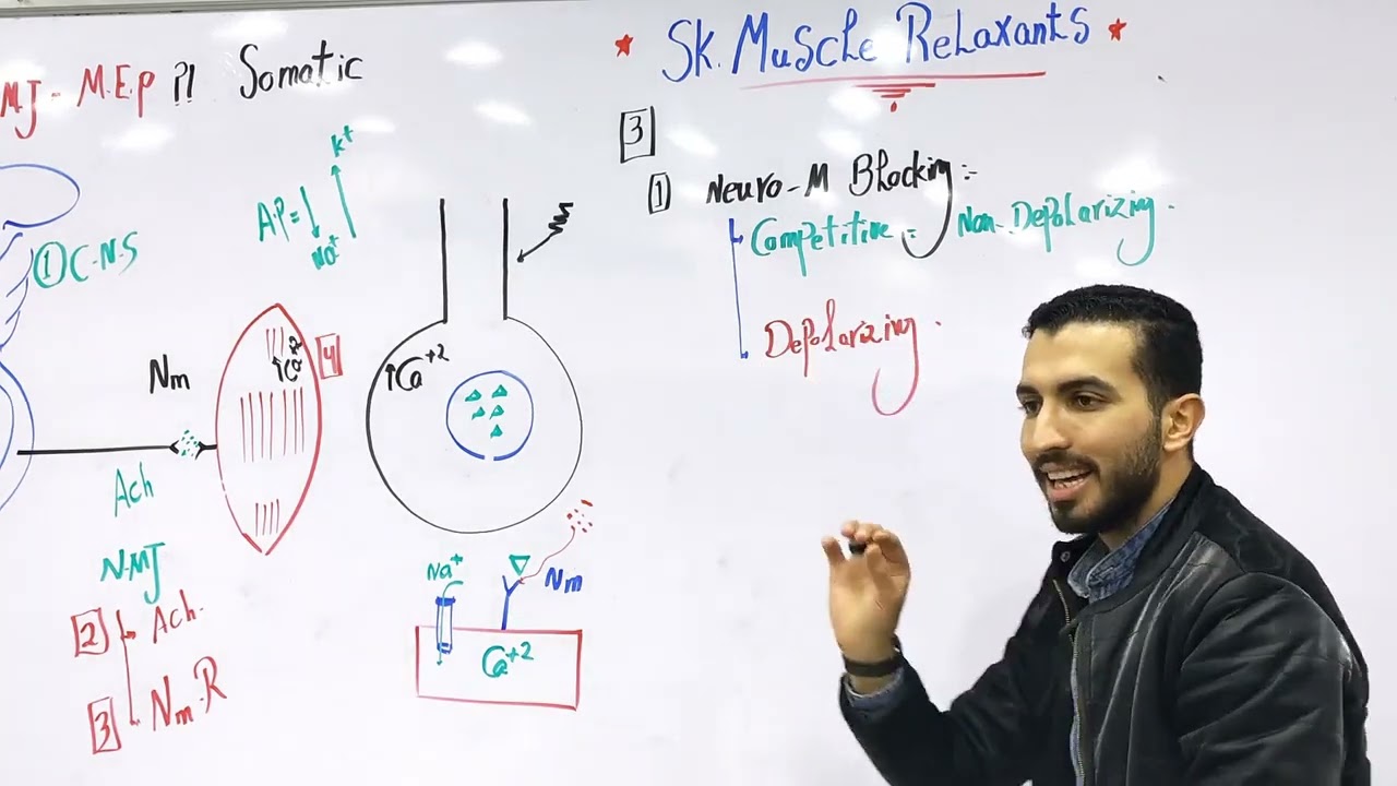 Skeletal Muscles 1 ♥