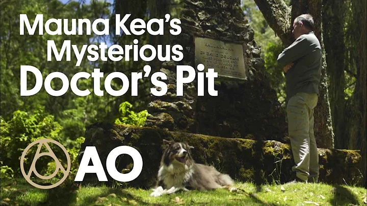 The Mystery of Hawaiis Doctors Pit | Atlas Obscura