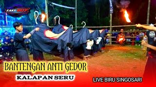 KALAPAN SERU BANTENGAN ANTI GEDOR || Live BIRU SINGOSARI
