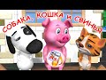 Собака, кошка и свинья. Мульт-песенка, видео песни для детей. Наше всё!