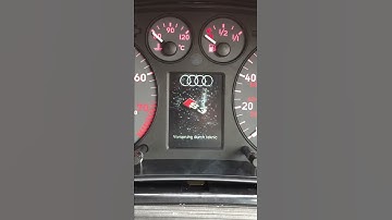 Audi S3 8L ColorMFA