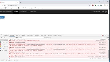 Cors in Angular  And Error Resolve