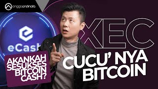 XEC: Akankah Sesukses Bitcoin Cash? Pump or Dump?