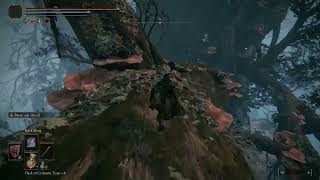 Guide to Navigating the Miquella Haligtree Canopy to the Town   Speed Run