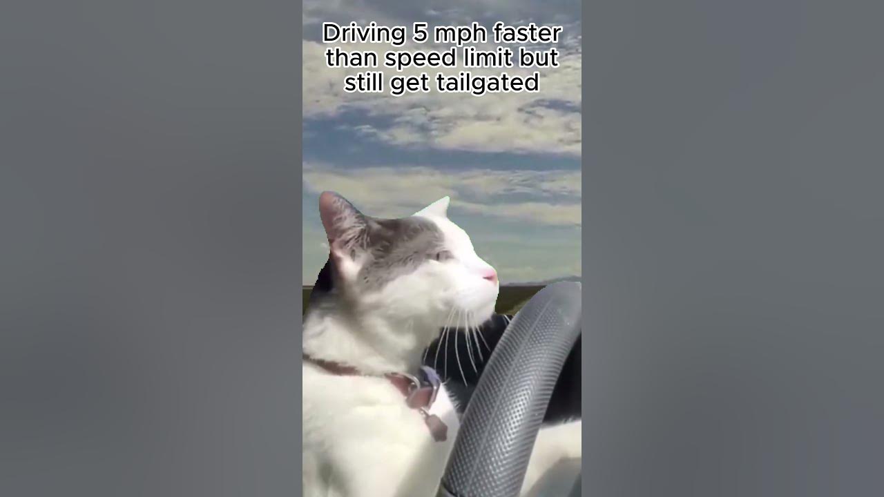 Being Tailgated On Freeway Even Though You Are Going 5 Over Speed Limit being-tailgated-on-freeway-even-though-you-are-going-5-over-speed-limit