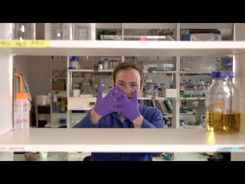 Can You Eat Agarose Gel