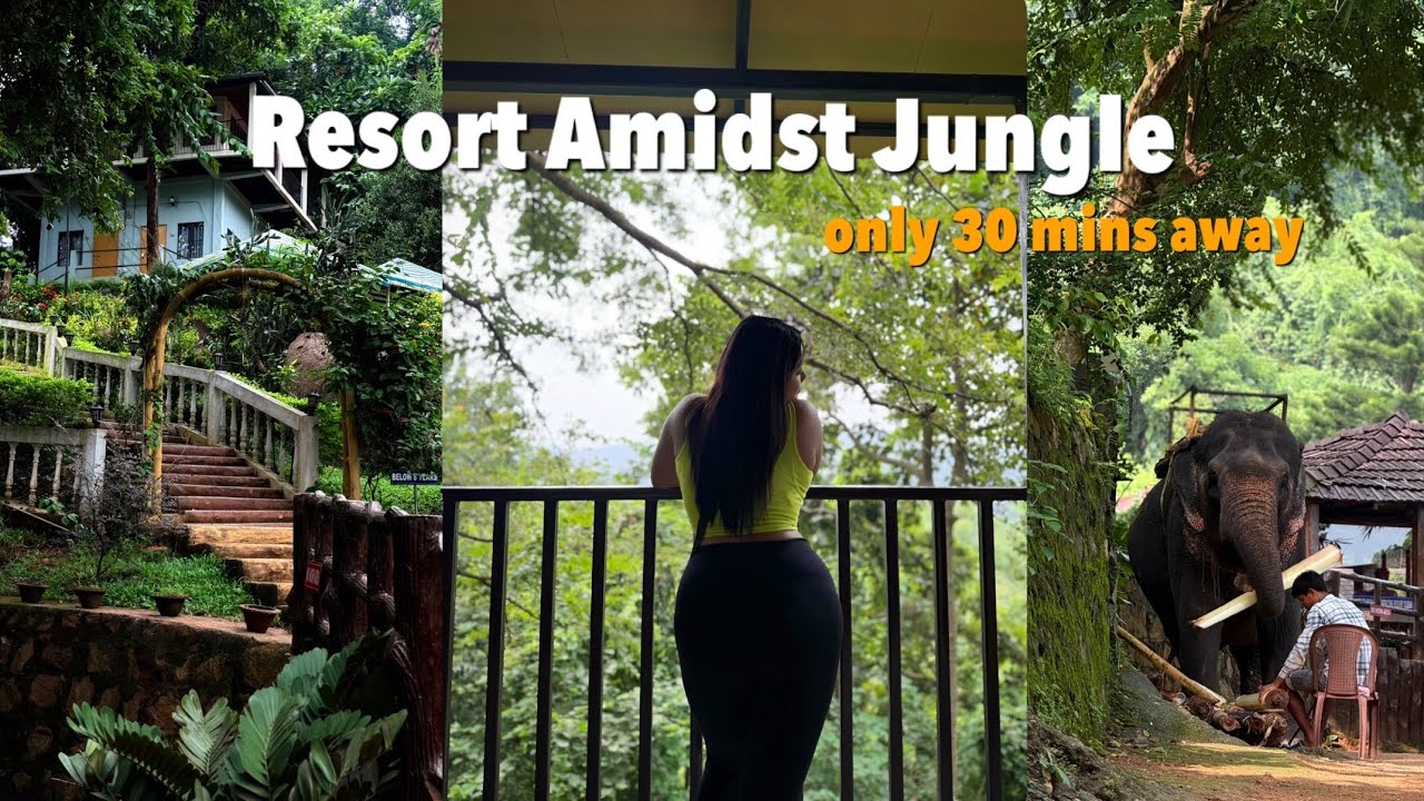 Resort in Jungle||Brahmaputra Jungle Resort||Guwahati||30 mins#guwahati #assamesevlog #resort#stay 