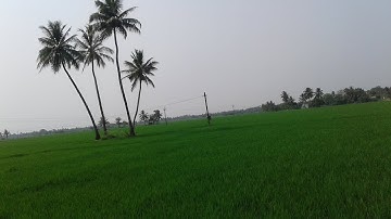 POOMALAYE THOL SERAVA SONG-IT