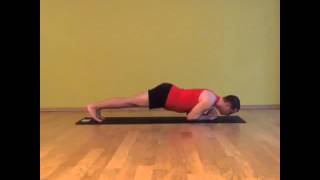 Dolphin Plank Pose