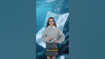 How Trees Become Paper #howitsmade #papermaking #scienceshorts #educationalshorts #funfacts