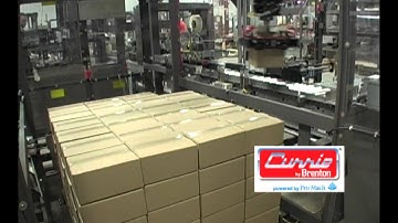 Gantry Palletizer Case Packer Combo by Currie by Brenton