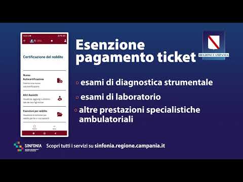 I Servizi di
