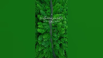 surah Nekel فارس عباد ｜ واصبر وما صبرك إلا بالله كروما قرآن من سورة النحل #short