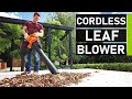 Top 10 Best Cordless Leaf Blowers