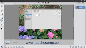 Photoshop Elements 2021 Tutorial Setting Preferences Adobe Training